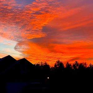 Meet your Posher, Joe